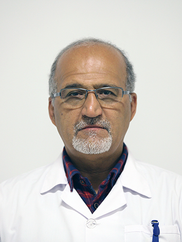 Dr Mojtaba Salarifar 
